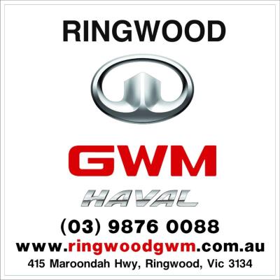 2024 GWM Cannon Alpha Lux Utility P05 for sale in Ringwood